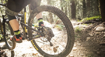 Mountain bike on trail